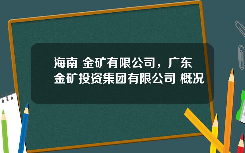 海南 金矿有限公司，广东金矿投资集团有限公司 概况